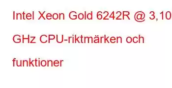 Intel Xeon Gold 6242R @ 3,10 GHz CPU-riktmärken och funktioner