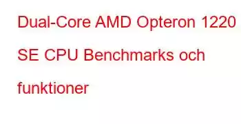 Dual-Core AMD Opteron 1220 SE CPU Benchmarks och funktioner