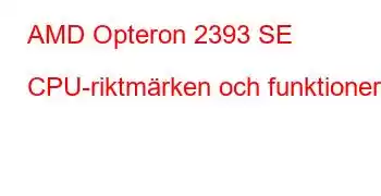 AMD Opteron 2393 SE CPU-riktmärken och funktioner