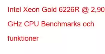 Intel Xeon Gold 6226R @ 2,90 GHz CPU Benchmarks och funktioner