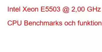 Intel Xeon E5503 @ 2,00 GHz CPU Benchmarks och funktioner