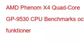 AMD Phenom X4 Quad-Core GP-9530 CPU Benchmarks och funktioner