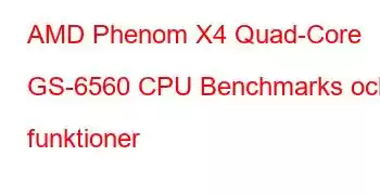 AMD Phenom X4 Quad-Core GS-6560 CPU Benchmarks och funktioner